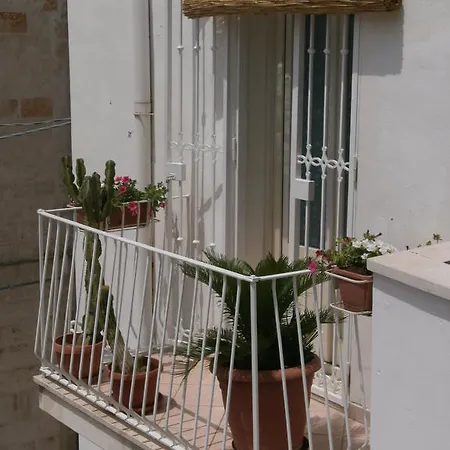 Frühstückspension My House