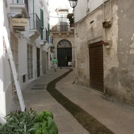 My House Monopoli