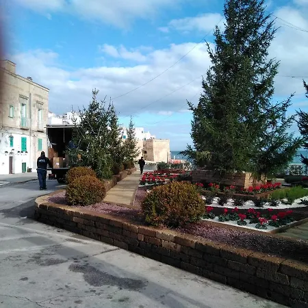 Bed & Breakfast My House Monopoli